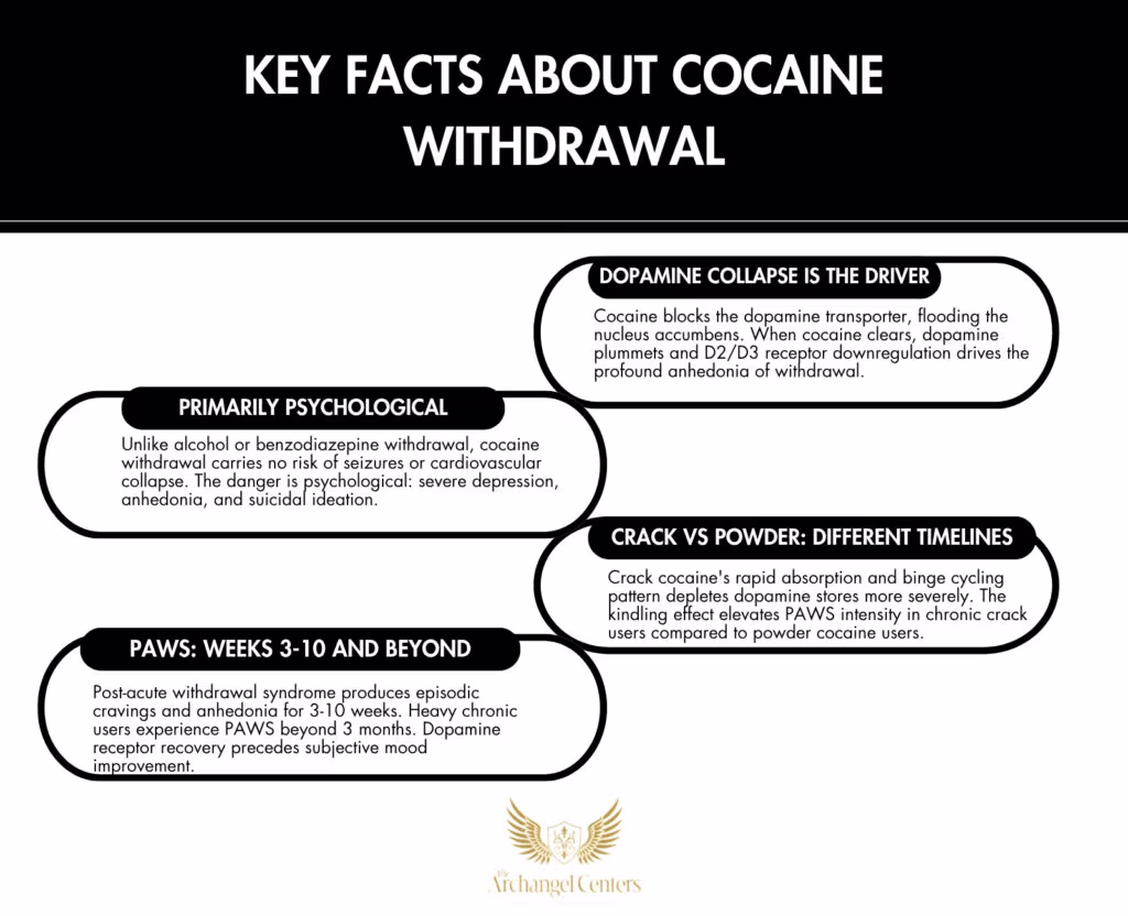 Inline graphic for The Archangel Centers article: cocaine/withdrawal-timeline