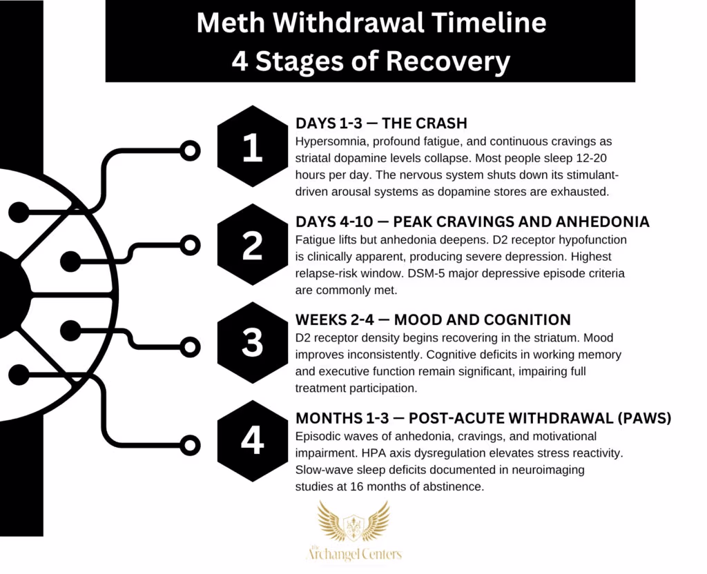 Inline graphic for The Archangel Centers article: meth/withdrawal-timeline