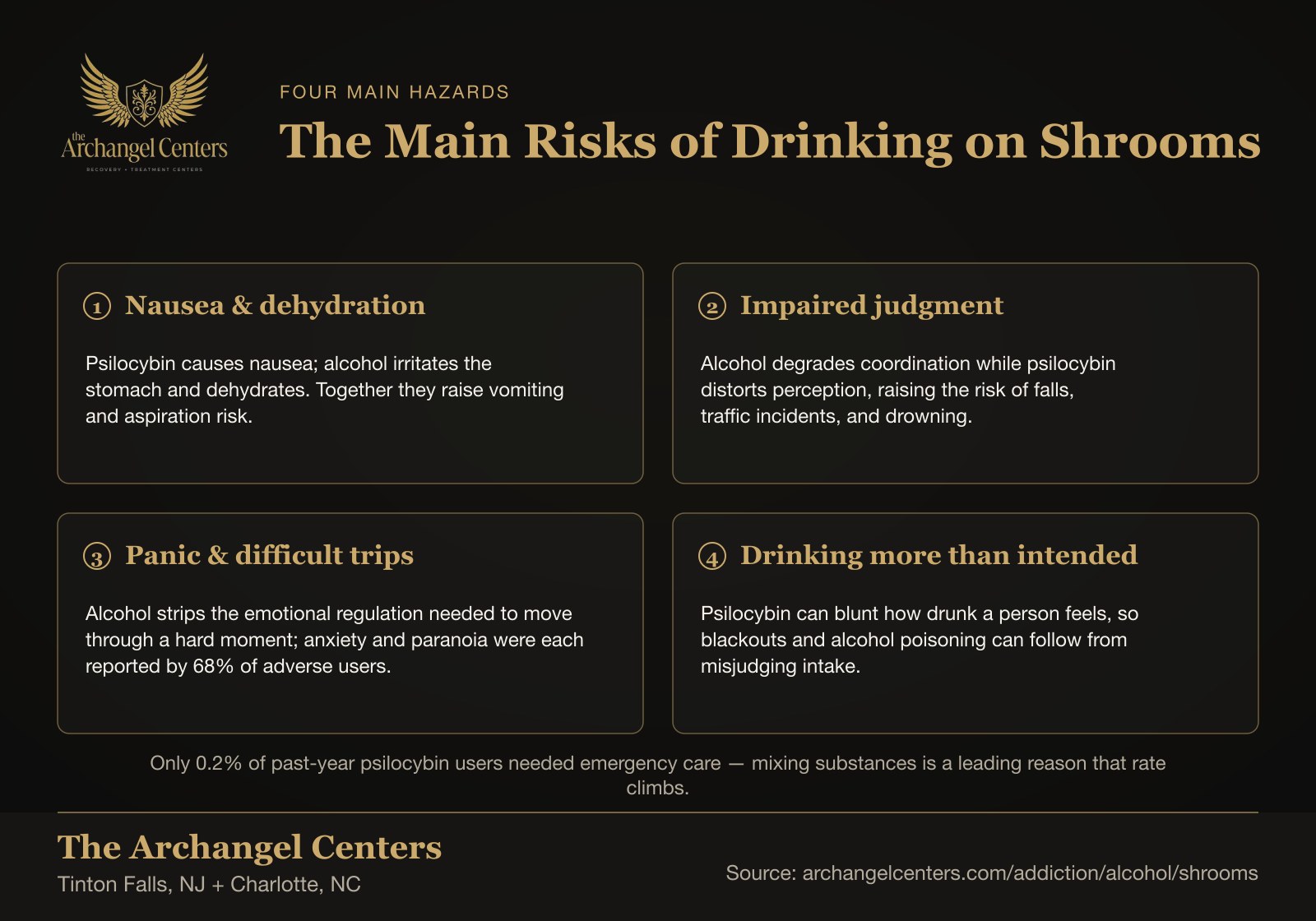 Four risk cards for mixing shrooms and alcohol: nausea and dehydration, impaired judgment, panic and difficult trips, and drinking more than intended.