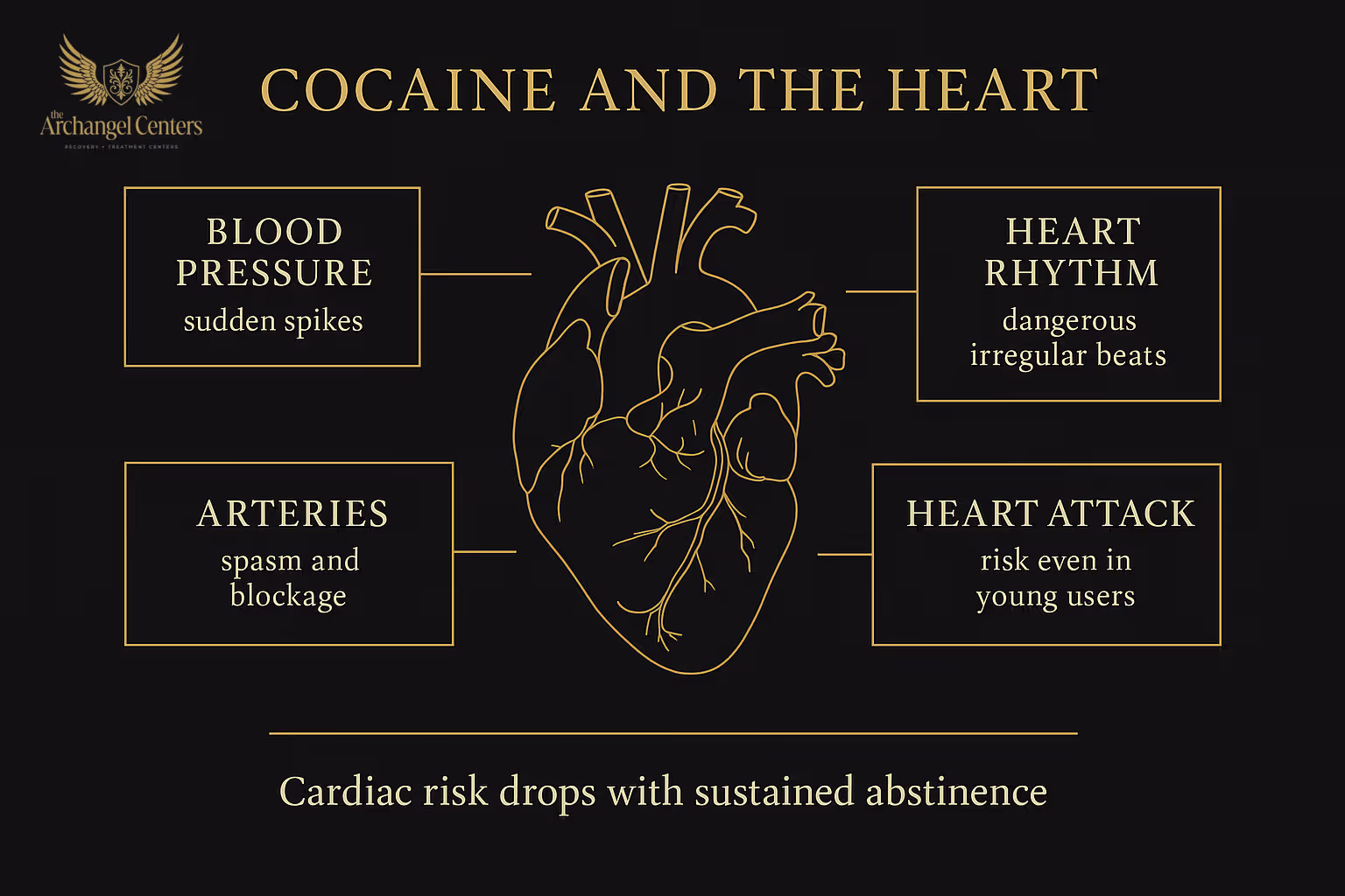 Cocaine and the Heart: cocaine drives acute hypertension and tachycardia, coronary artery spasm and myocardial infarction even in young users, arrhythmias including sudden cardiac death, cardiomyopathy in chronic users, and aortic dissection in extreme cases.