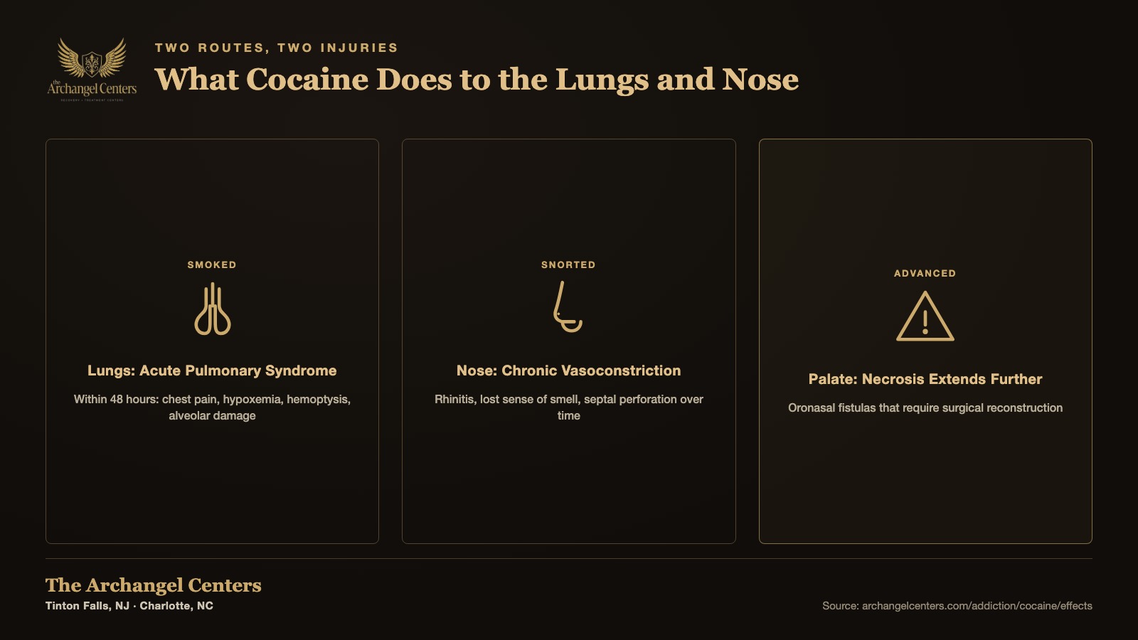 What does cocaine do to the lungs and nose
