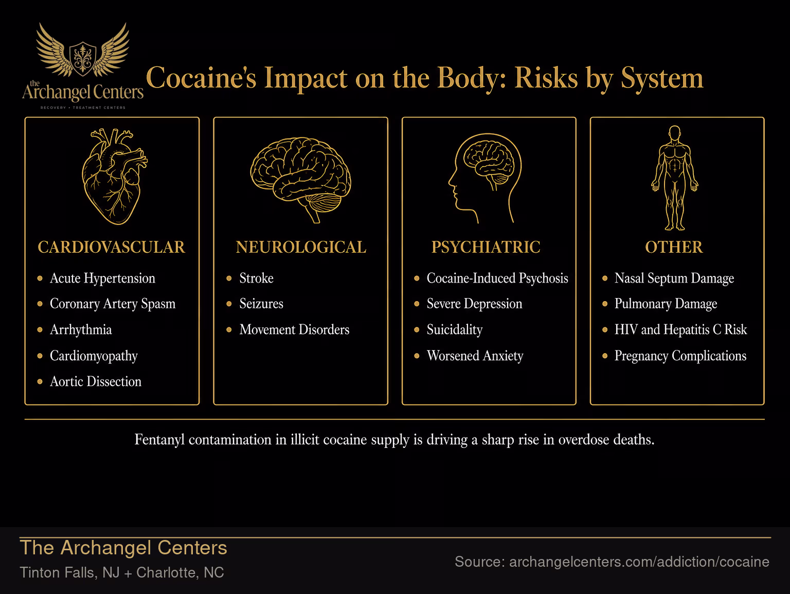 Cocaine's Impact on the Body: Risks by System.