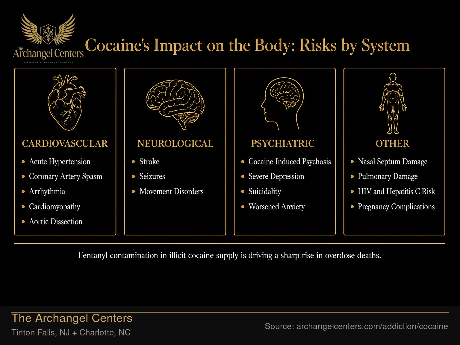Cocaine's Impact on the Body: Risks by System.