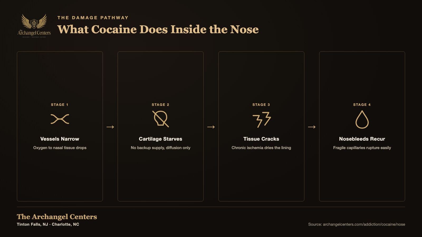 What does cocaine do to the inside of the nose