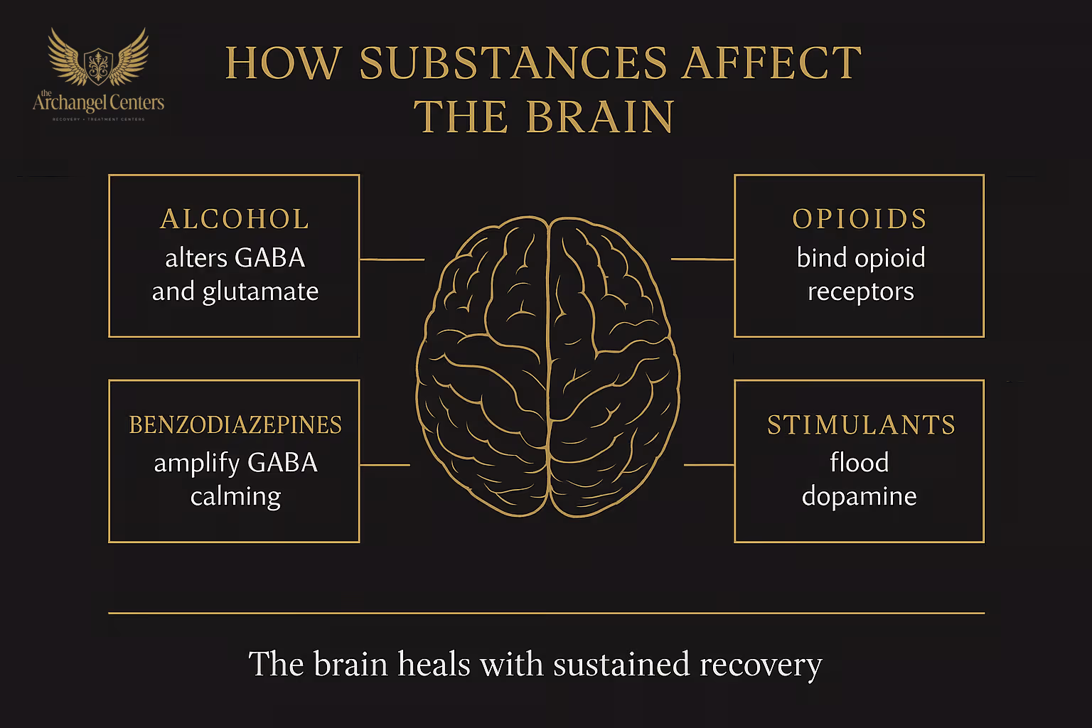 How Substances Affect the Brain: dopamine surges in the reward circuit, receptor downregulation, prefrontal cortex impairment, and the neurobiological basis of compulsive use