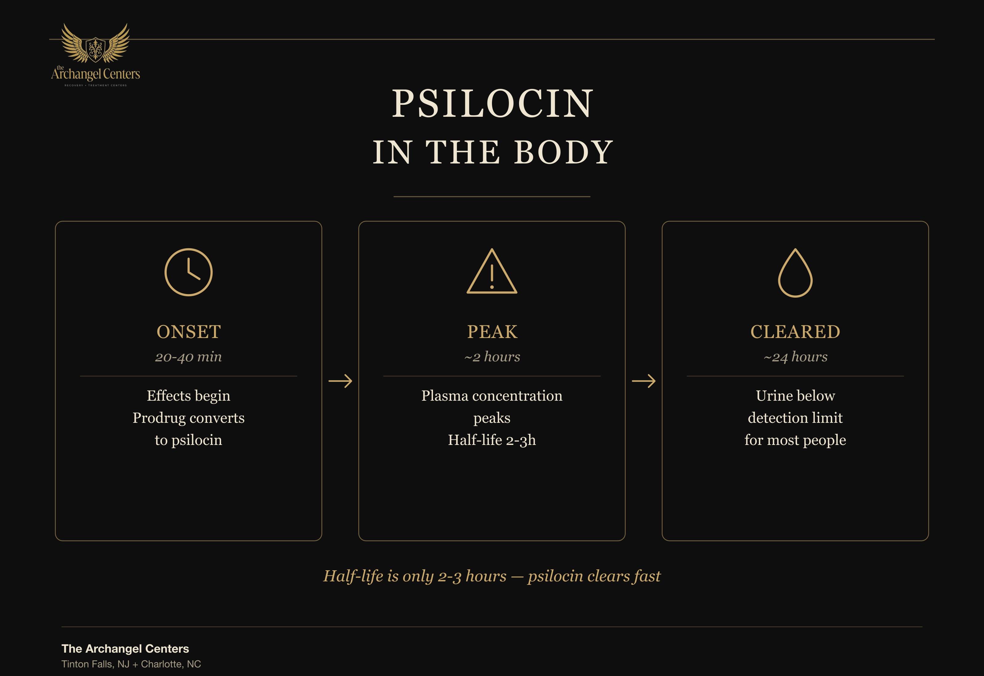 psilocin in the body