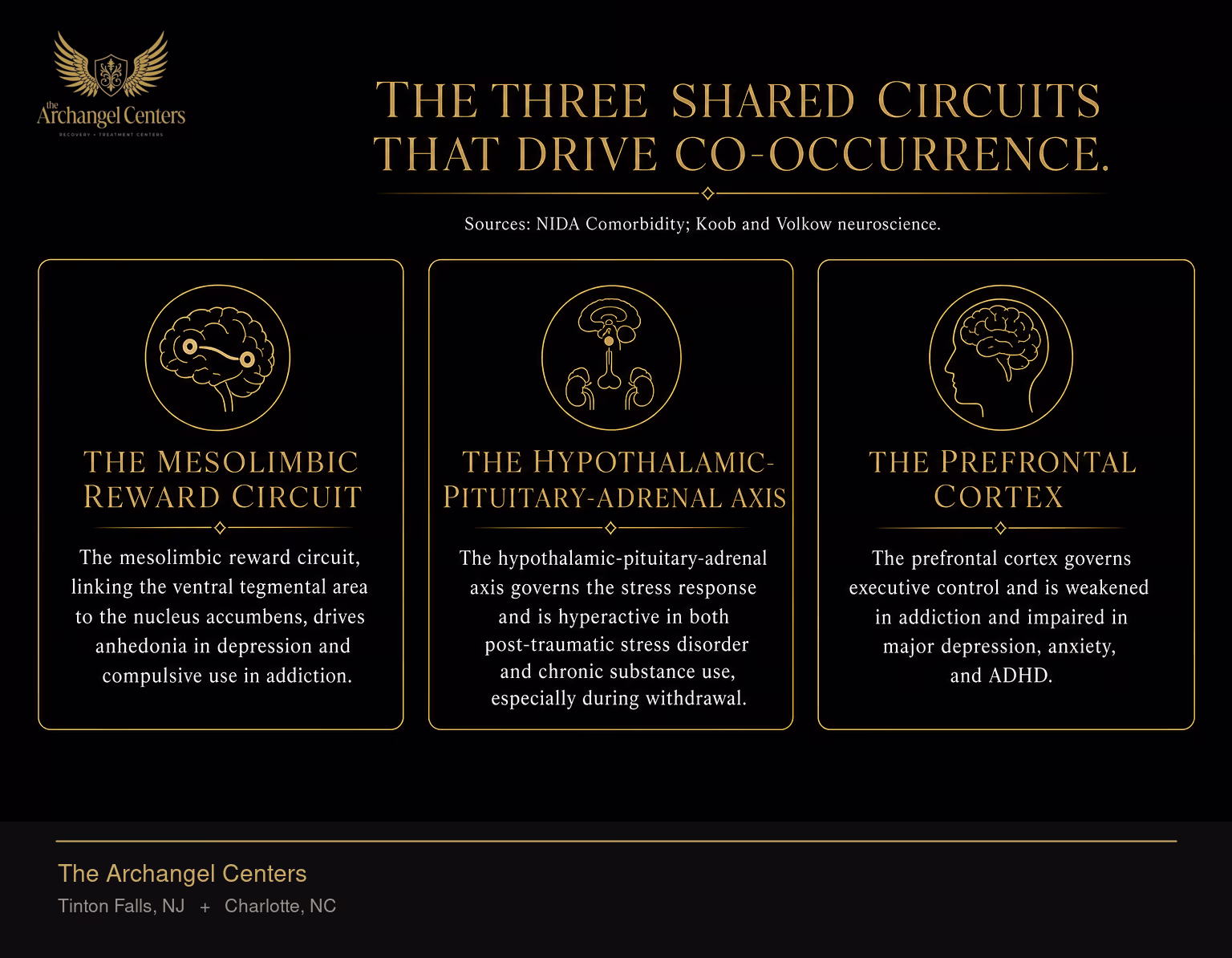 Three brain systems that both addiction and mental illness dysregulate. The mesolimbic reward circuit, linking the ventral tegmental area to the nucleus accumbens, drives anhedonia in depression and compulsive use in addiction. The hypothalamic-pituitary-adrenal axis governs the stress response and is hyperactive in both post-traumatic stress disorder and chronic substance use, especially during withdrawal. The prefrontal cortex governs executive control and is weakened in addiction and impaired in major depression, anxiety, and ADHD.