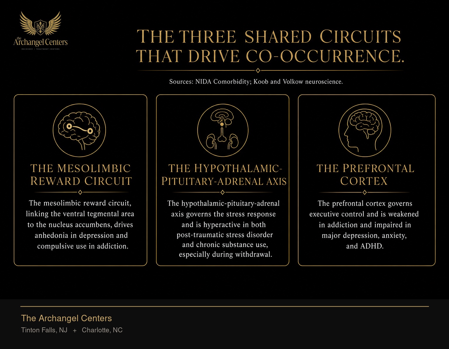 Three brain systems that both addiction and mental illness dysregulate. The mesolimbic reward circuit, linking the ventral tegmental area to the nucleus accumbens, drives anhedonia in depression and compulsive use in addiction. The hypothalamic-pituitary-adrenal axis governs the stress response and is hyperactive in both post-traumatic stress disorder and chronic substance use, especially during withdrawal. The prefrontal cortex governs executive control and is weakened in addiction and impaired in major depression, anxiety, and ADHD.