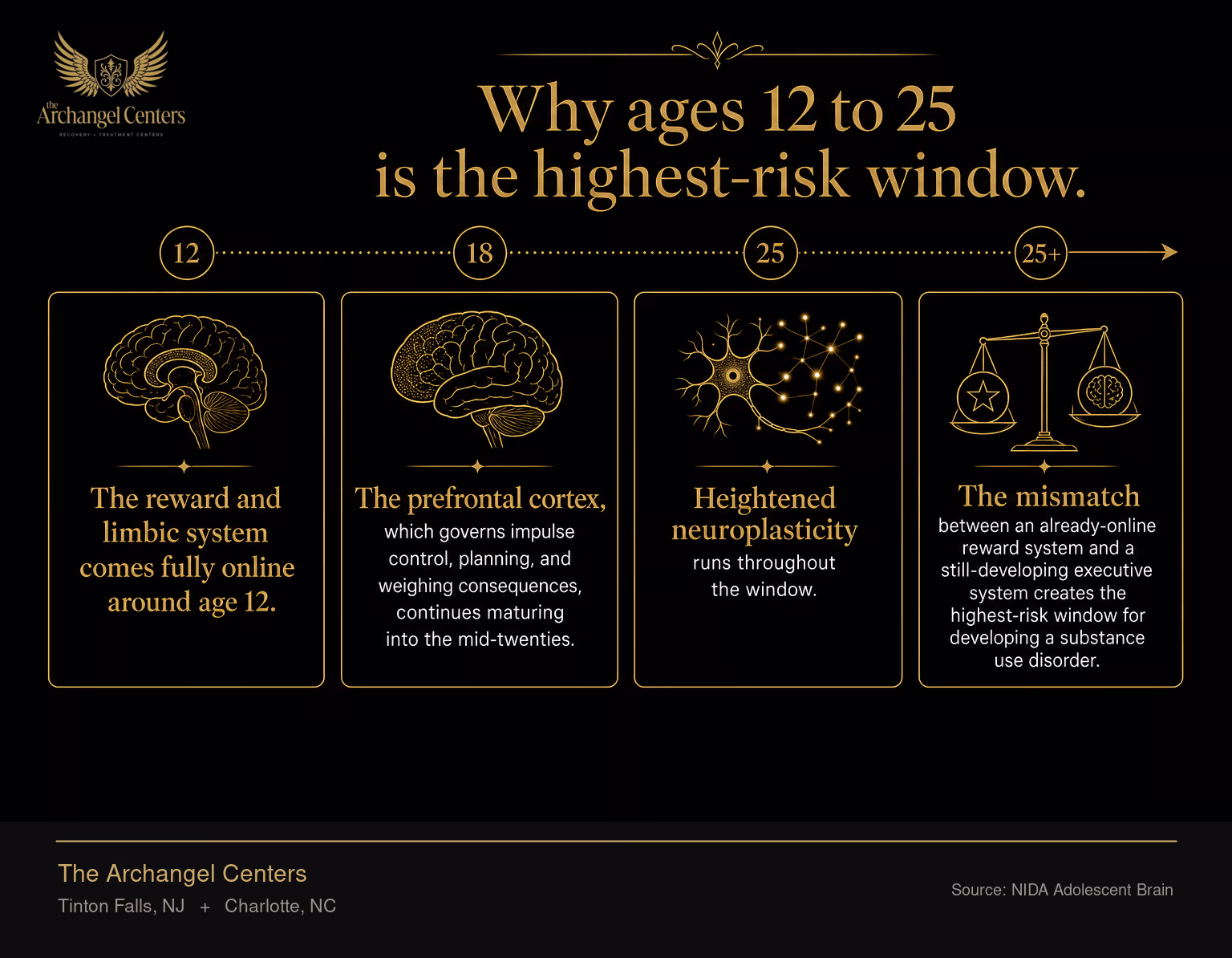 Adolescent and young-adult brain development timeline from ages 12 to 25 and beyond. The reward and limbic system comes fully online around age 12. The prefrontal cortex, which governs impulse control, planning, and weighing consequences, continues maturing into the mid-twenties. Heightened neuroplasticity runs throughout the window. The mismatch between an already-online reward system and a still-developing executive system creates the highest-risk window for developing a substance use disorder.