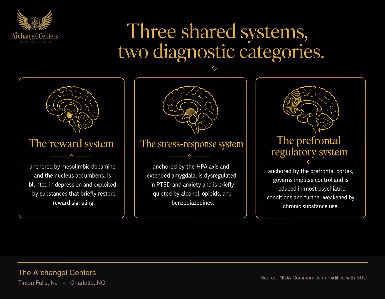 The three brain systems that both substance use disorders and mental health conditions dysregulate. The reward system, anchored by mesolimbic dopamine and the nucleus accumbens, is blunted in depression and exploited by substances that briefly restore reward signaling. The stress-response system, anchored by the HPA axis and extended amygdala, is dysregulated in PTSD and anxiety and is briefly quieted by alcohol, opioids, and benzodiazepines. The prefrontal regulatory system, anchored by the prefrontal cortex, governs impulse control and is reduced in most psychiatric conditions and further weakened by chronic substance use.