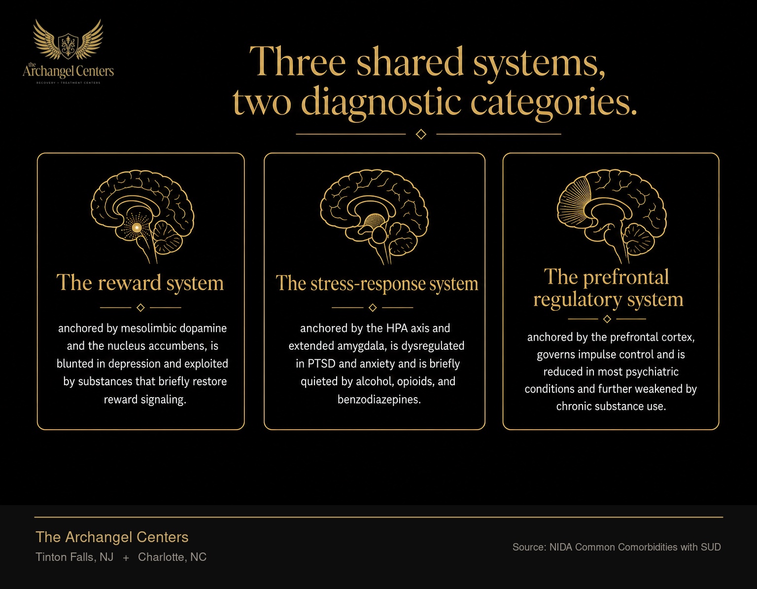 The three brain systems that both substance use disorders and mental health conditions dysregulate. The reward system, anchored by mesolimbic dopamine and the nucleus accumbens, is blunted in depression and exploited by substances that briefly restore reward signaling. The stress-response system, anchored by the HPA axis and extended amygdala, is dysregulated in PTSD and anxiety and is briefly quieted by alcohol, opioids, and benzodiazepines. The prefrontal regulatory system, anchored by the prefrontal cortex, governs impulse control and is reduced in most psychiatric conditions and further weakened by chronic substance use.