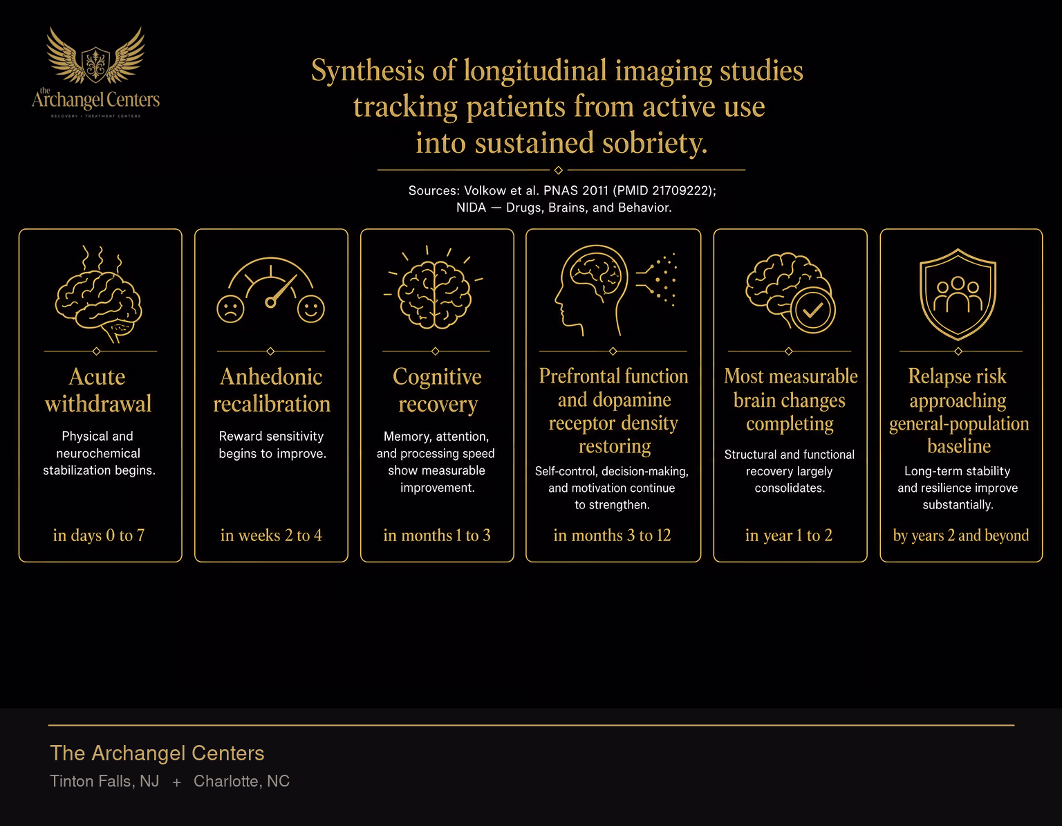 The timeline of brain recovery during sustained sobriety: acute withdrawal in days 0 to 7, anhedonic recalibration in weeks 2 to 4, cognitive recovery in months 1 to 3, prefrontal function and dopamine receptor density restoring in months 3 to 12, most measurable brain changes completing in year 1 to 2, and relapse risk approaching general-population baseline by years 2 and beyond.