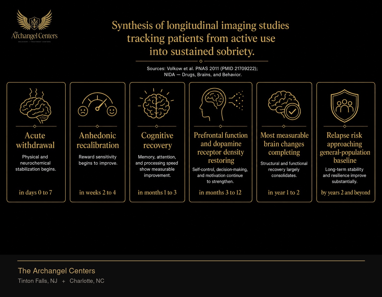 The timeline of brain recovery during sustained sobriety: acute withdrawal in days 0 to 7, anhedonic recalibration in weeks 2 to 4, cognitive recovery in months 1 to 3, prefrontal function and dopamine receptor density restoring in months 3 to 12, most measurable brain changes completing in year 1 to 2, and relapse risk approaching general-population baseline by years 2 and beyond.