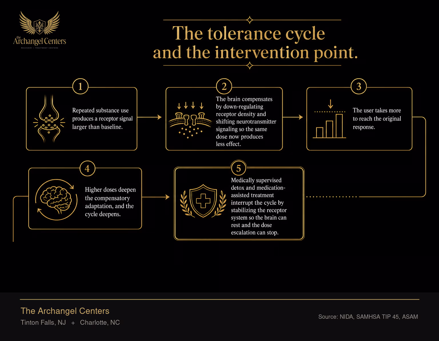 The tolerance cycle and where treatment interrupts it. Repeated substance use produces a receptor signal larger than baseline. The brain compensates by down-regulating receptor density and shifting neurotransmitter signaling so the same dose now produces less effect. The user takes more to reach the original response. Higher doses deepen the compensatory adaptation, and the cycle deepens. Medically supervised detox and medication-assisted treatment interrupt the cycle by stabilizing the receptor system so the brain can rest and the dose escalation can stop.