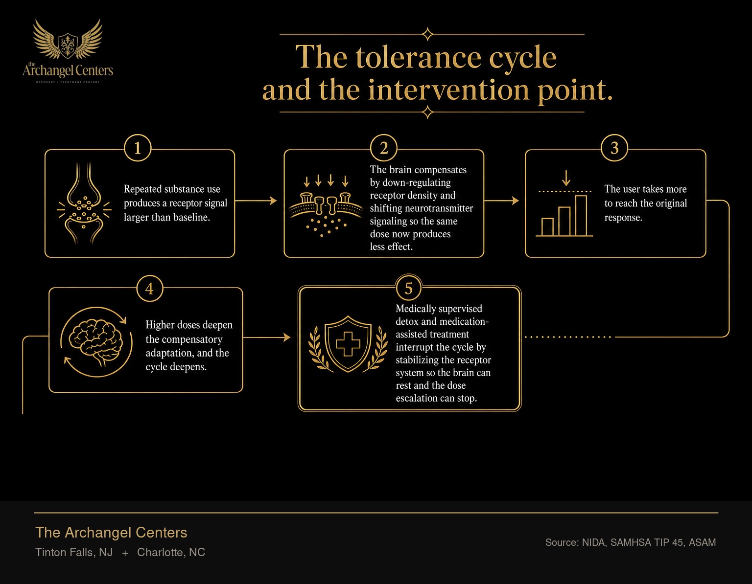 The tolerance cycle and where treatment interrupts it. Repeated substance use produces a receptor signal larger than baseline. The brain compensates by down-regulating receptor density and shifting neurotransmitter signaling so the same dose now produces less effect. The user takes more to reach the original response. Higher doses deepen the compensatory adaptation, and the cycle deepens. Medically supervised detox and medication-assisted treatment interrupt the cycle by stabilizing the receptor system so the brain can rest and the dose escalation can stop.