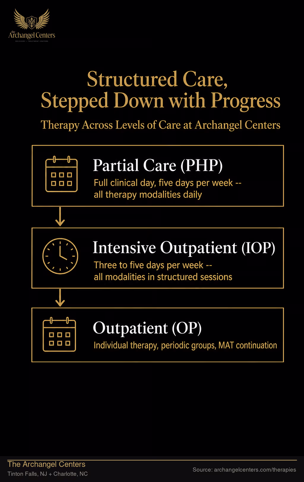 How Therapy Is Delivered Across Levels of Care.