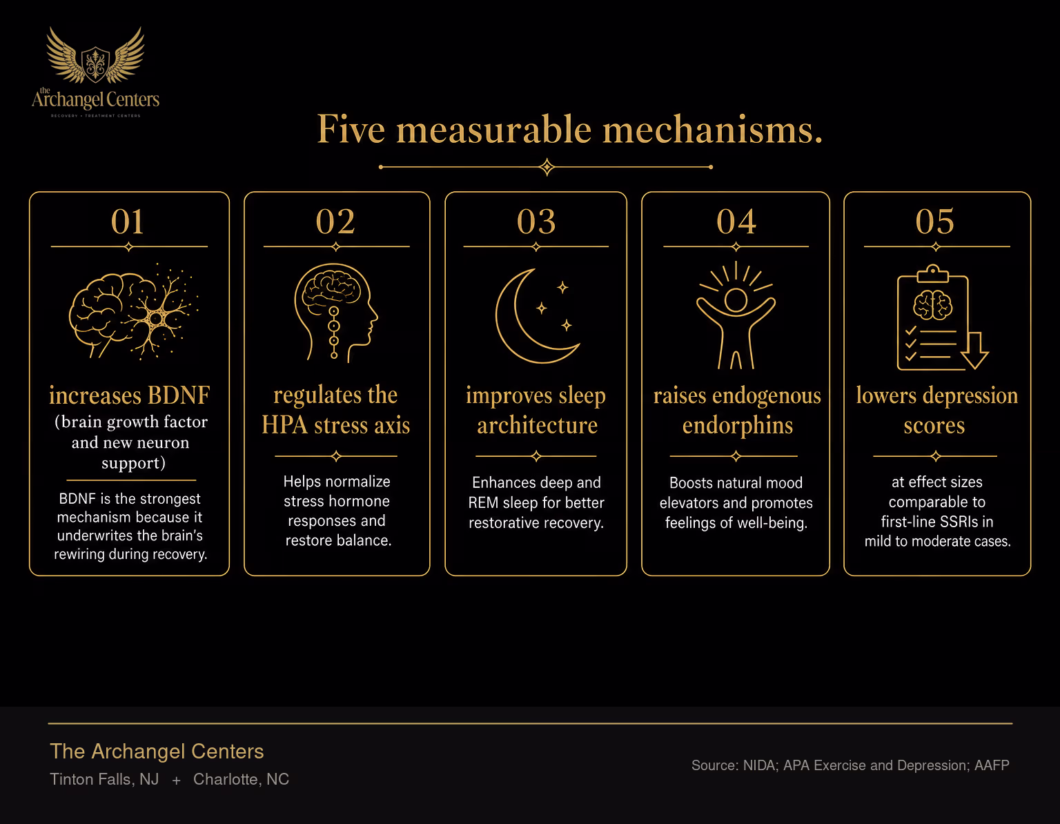 Five biological effects of exercise on the recovering brain: increases BDNF (brain growth factor and new neuron support), regulates the HPA stress axis, improves sleep architecture, raises endogenous endorphins, and lowers depression scores at effect sizes comparable to first-line SSRIs in mild to moderate cases. BDNF is the strongest mechanism because it underwrites the brain's rewiring during recovery.