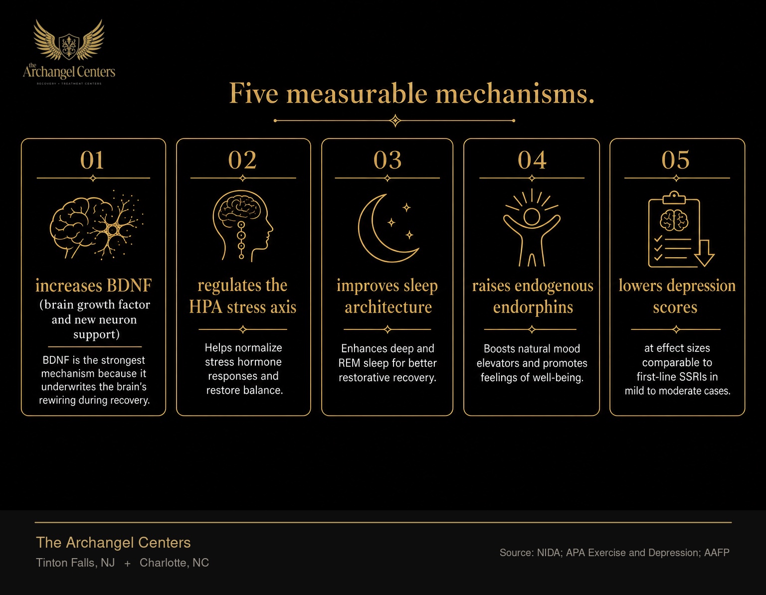 Five biological effects of exercise on the recovering brain: increases BDNF (brain growth factor and new neuron support), regulates the HPA stress axis, improves sleep architecture, raises endogenous endorphins, and lowers depression scores at effect sizes comparable to first-line SSRIs in mild to moderate cases. BDNF is the strongest mechanism because it underwrites the brain's rewiring during recovery.