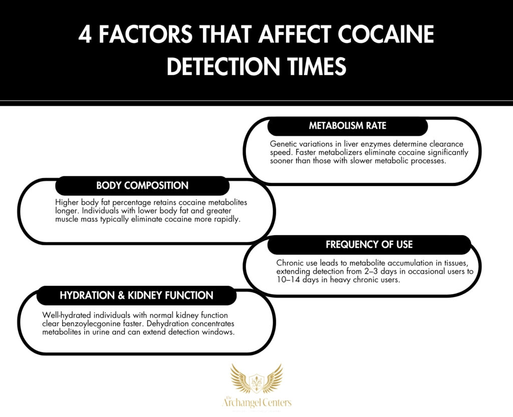 4 Factors That Affect Cocaine Detection Times