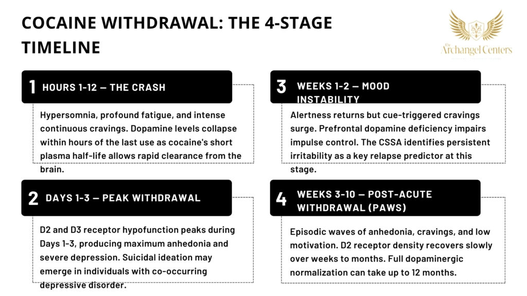 Cocaine withdrawal 4-stage timeline