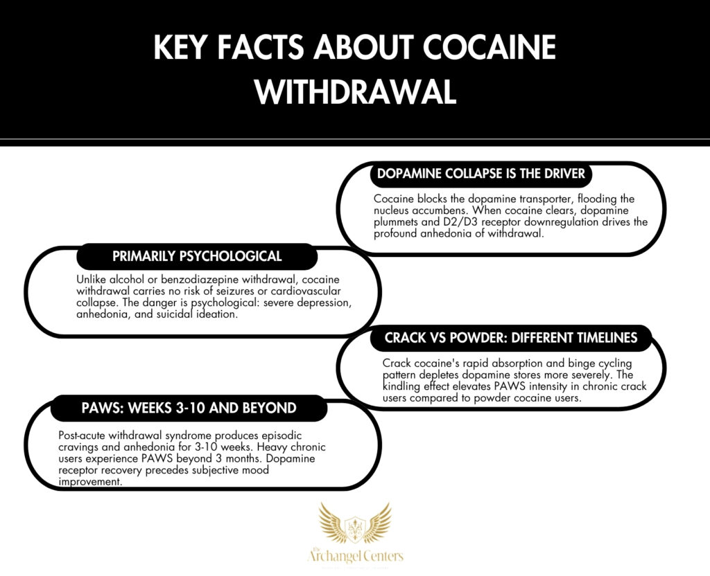 4 key facts about cocaine withdrawal