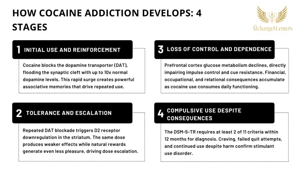 How cocaine addiction develops